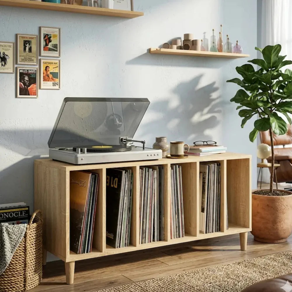 Meuble Vinyle en Chêne Sonoma 100 x 38 x 48 cm salon