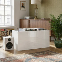 bac de rangement vinyles
