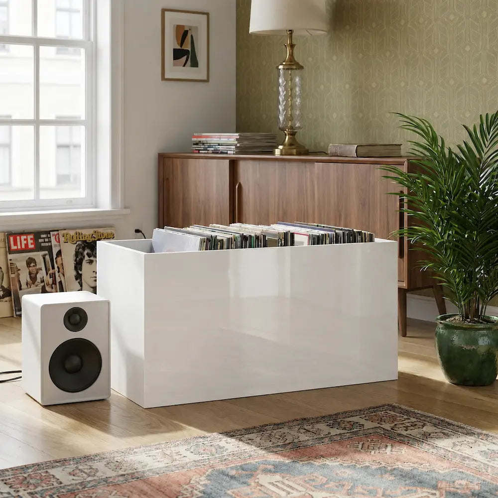 bac de rangement vinyles Image