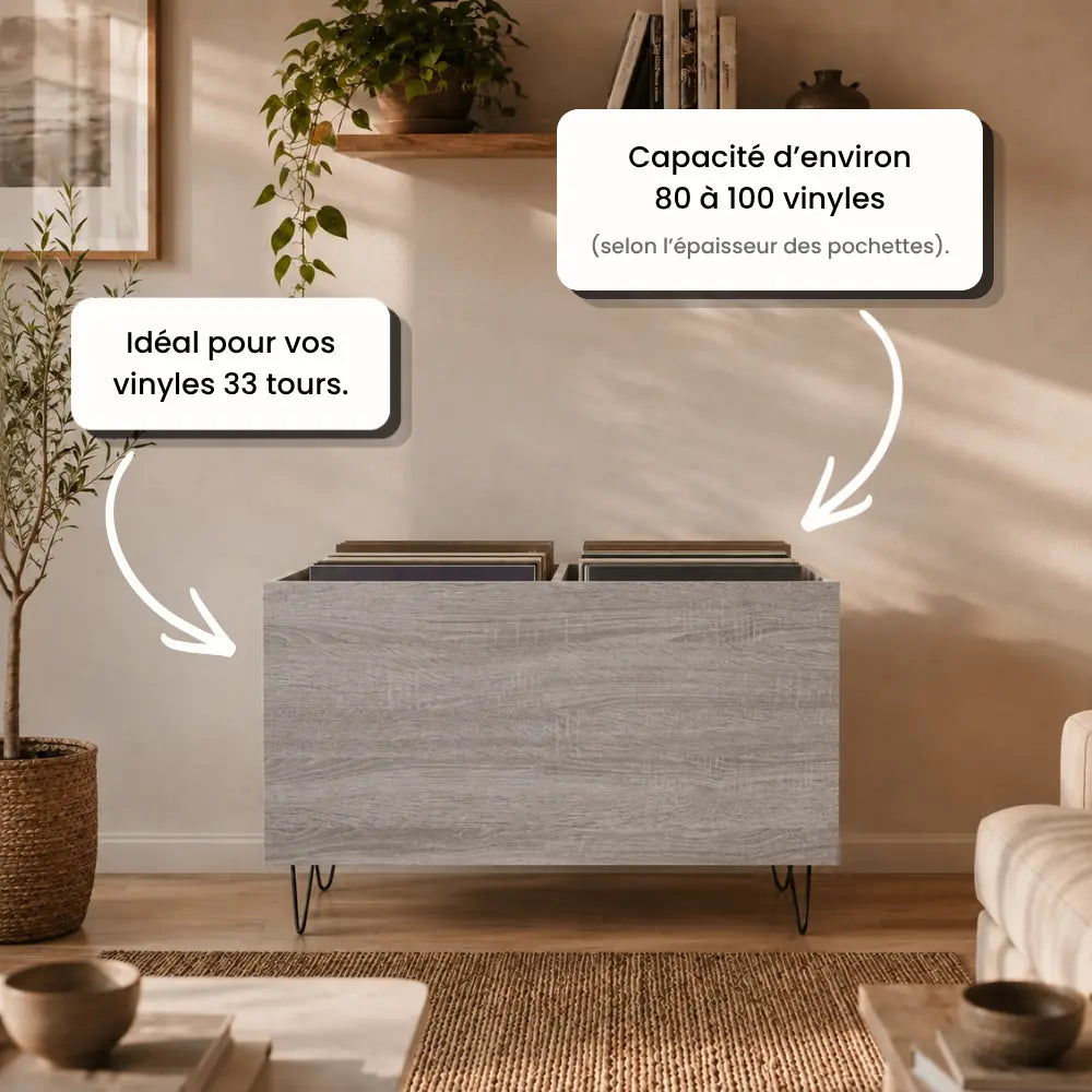 Meuble vinyle 2 compartiments pour disques vinyles couleur gris