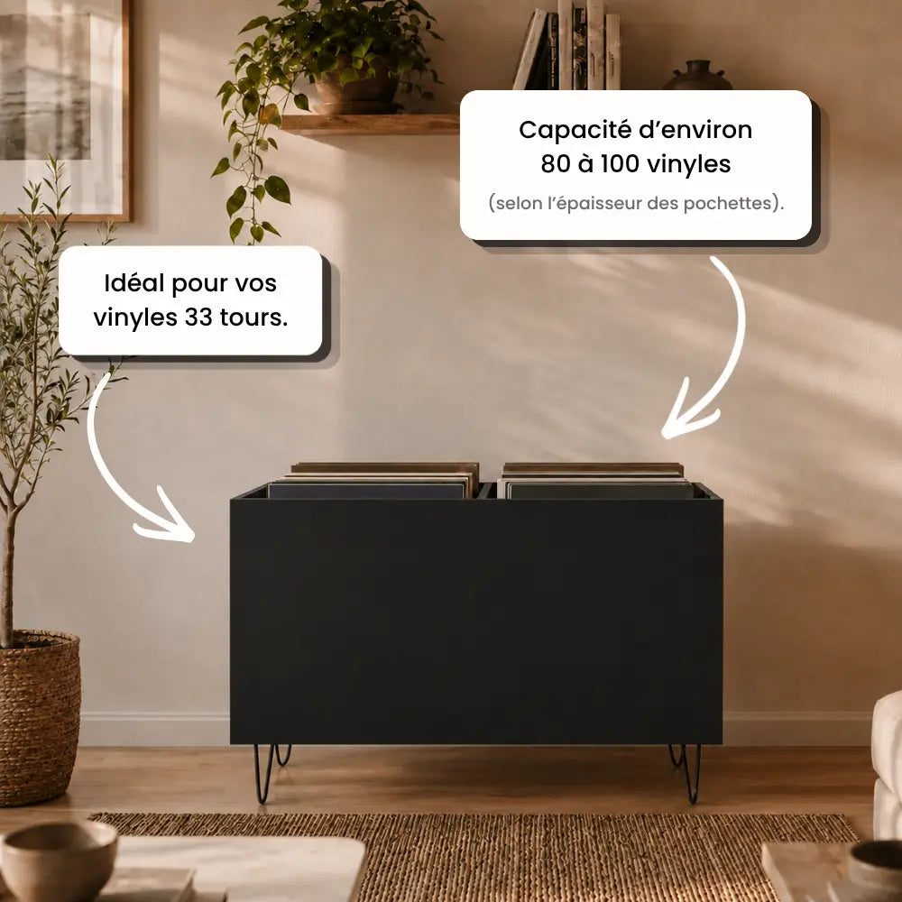 Meuble vinyle bac de rangement pour disques en bois couleur noir