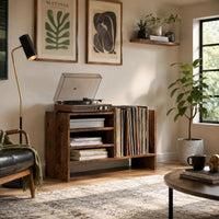 meuble vinyle en bois couleur ancien