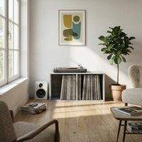 meuble vinyle gris salon moderne vintage